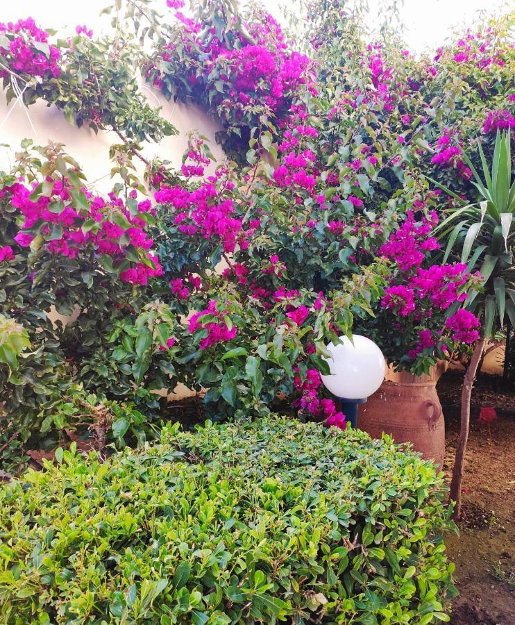 Villa Aphrodite Kolymbari Exterior photo