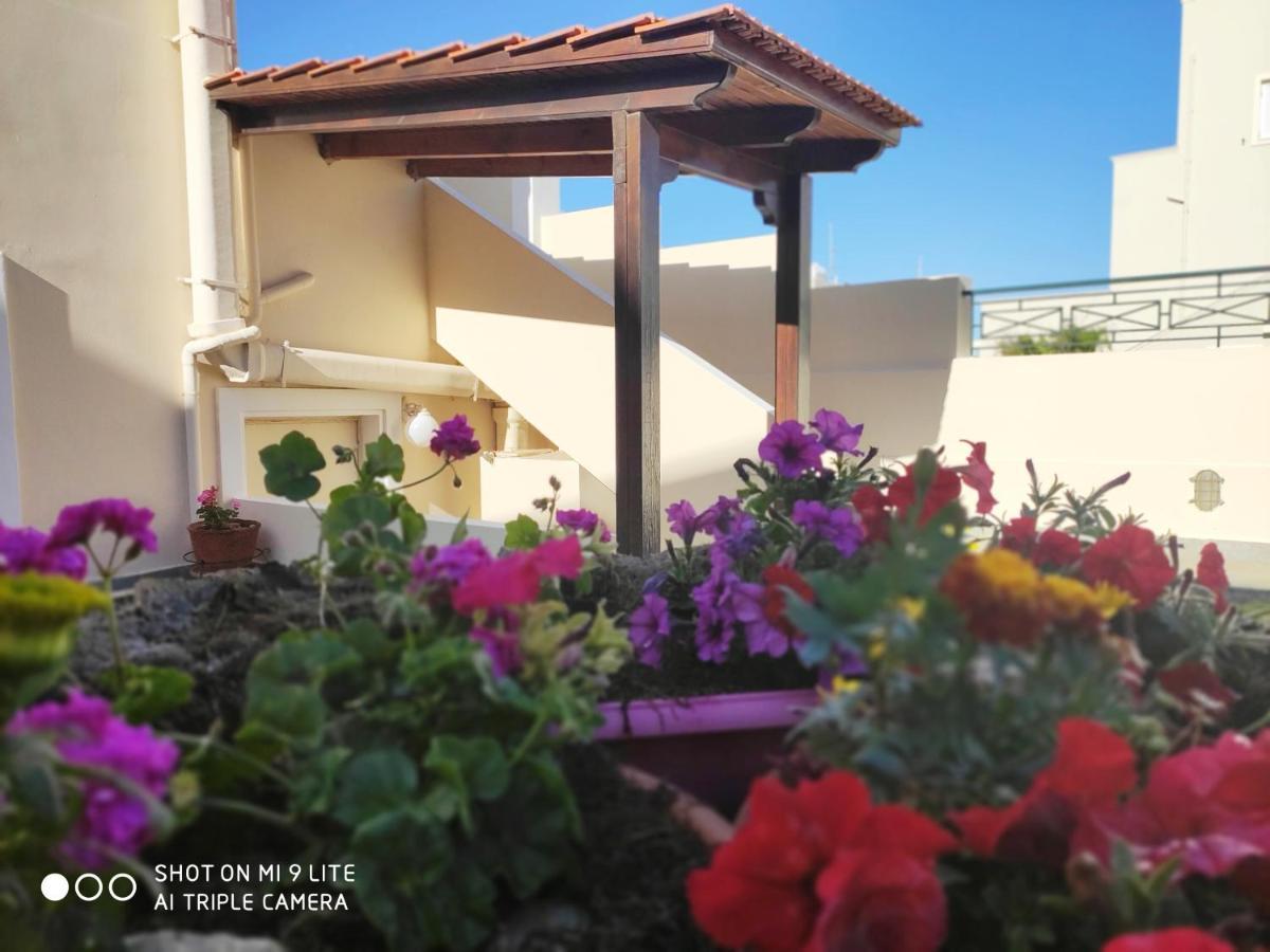 Villa Aphrodite Kolymbari Exterior photo